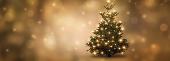 Lit up Christmas tree with soft sparkling background